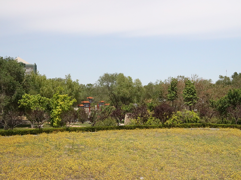 北京市朝阳陵园怎么样呢（朝阳陵园价格高吗）