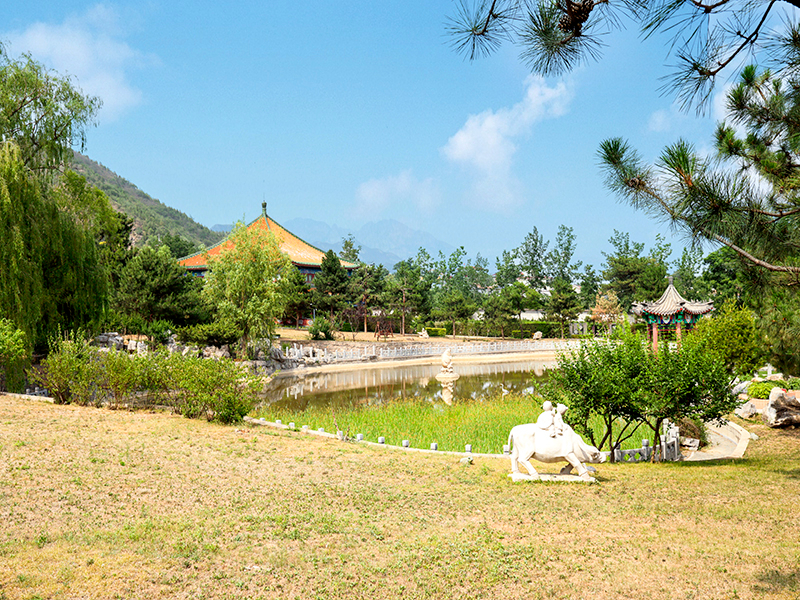 天寿陵园和朝阳陵园，该如何选择(天寿陵园电话多少）
